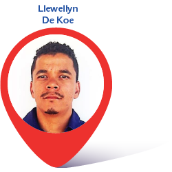 llewellyn